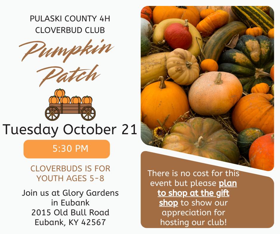 Cloverbud Club Flyer