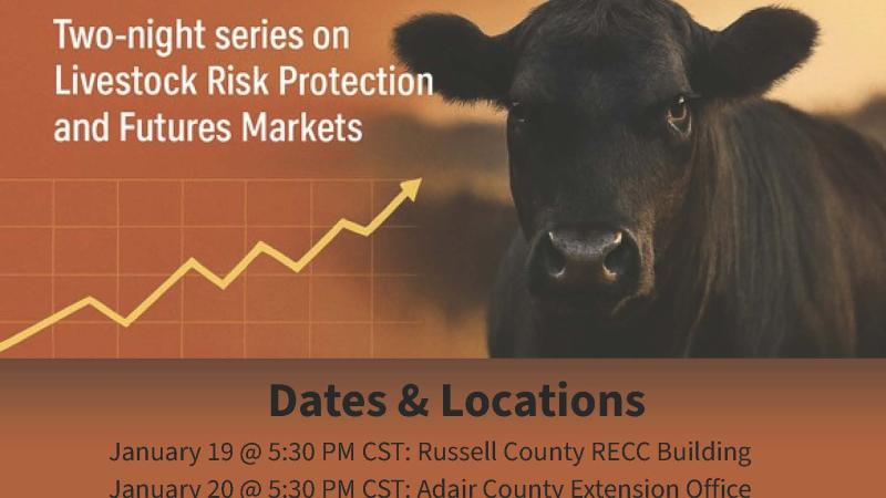 Flyer for beef cattle risk management short course call 606-679-6361 for more information 