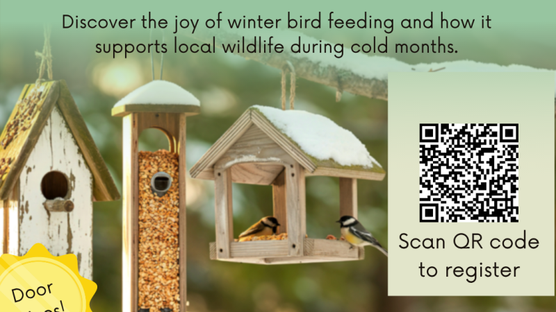 winter bird feedling flyer