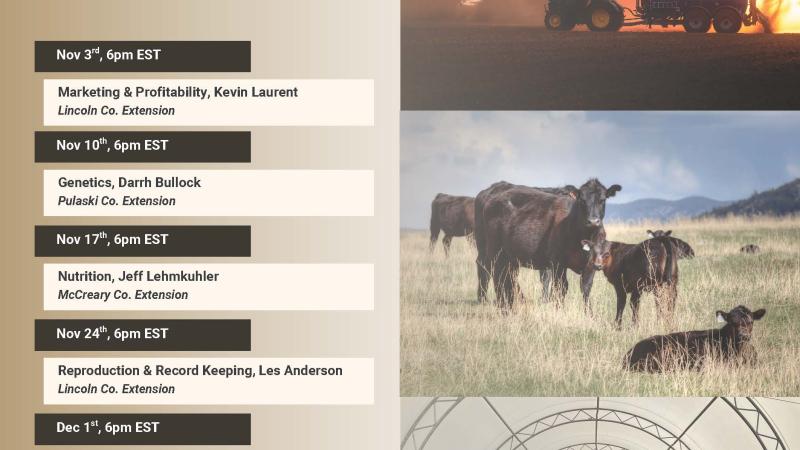 flyer for master cattlemens program called 606-679-6361 for more information